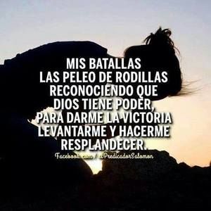 Meet your Posher, Elia